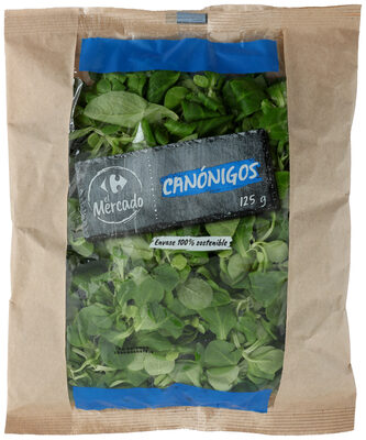 Canónigo