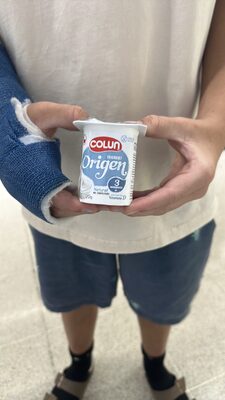 YOGHURT Origen Natural NO ENDULZADO