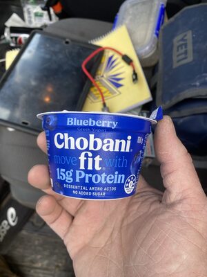 Greek Yogurt Blueberry