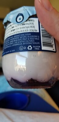 cold strained Greek probiotic yogurt mixed berry