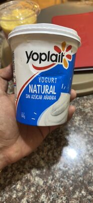 Yogurt Natural (sin azucar añadida)