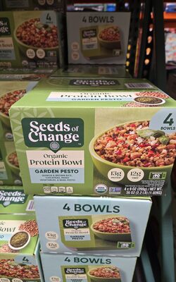 Organic Protein Bowl Garden Pesto