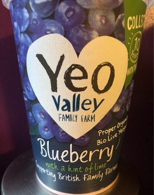 BLUEBERRY YOGURT